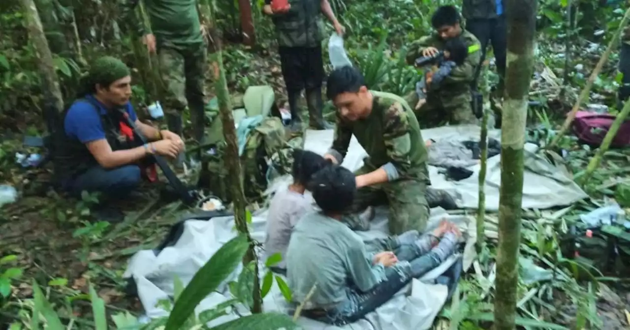 La odisea de los Mucutuy, 40 días en la selva