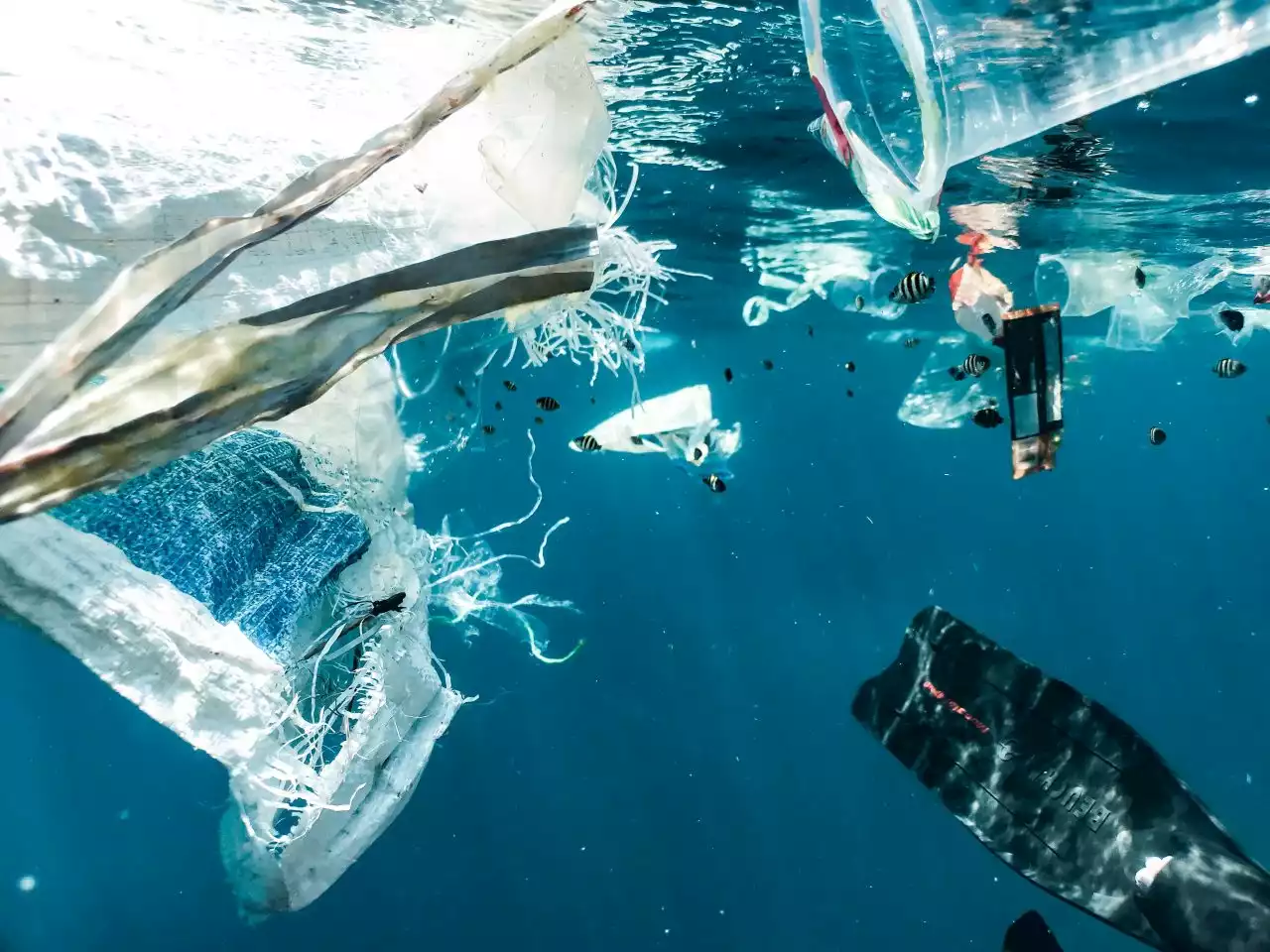 Sommersi | La plastica prolifera anche perché le singole coscienze rimangono immutate - Linkiesta.it