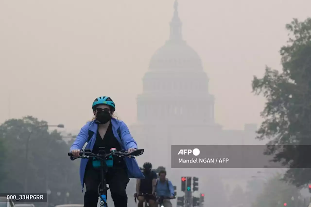 Smoke from Canadian wildfires cloaks eastern US with haze