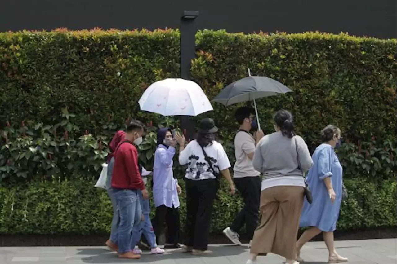 Pakar Sebut Panasnya Cuaca Saat Ini Dampak Gabungan Perubahan Iklim dan El Nino