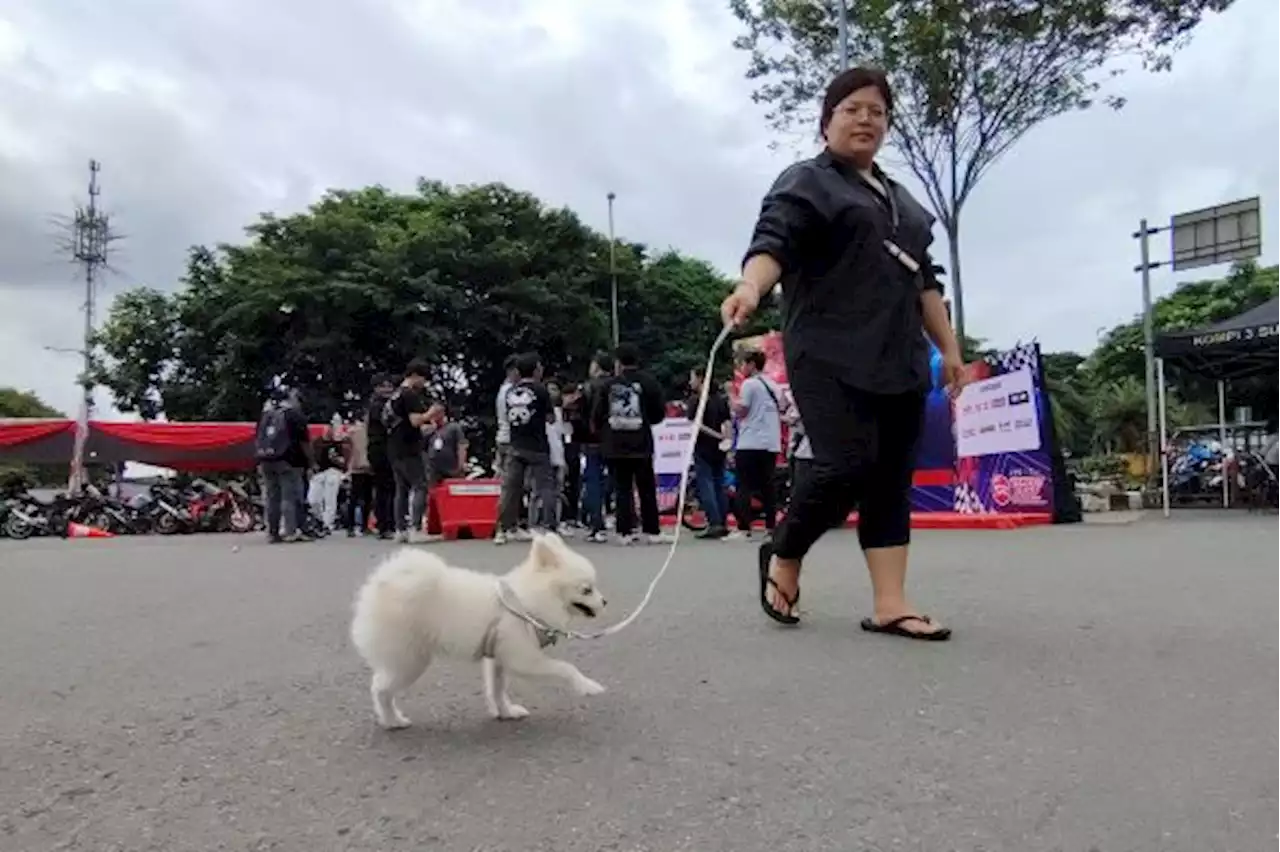 Tak Hanya Manusia, Polusi Udara Juga Berbahaya untuk Hewan