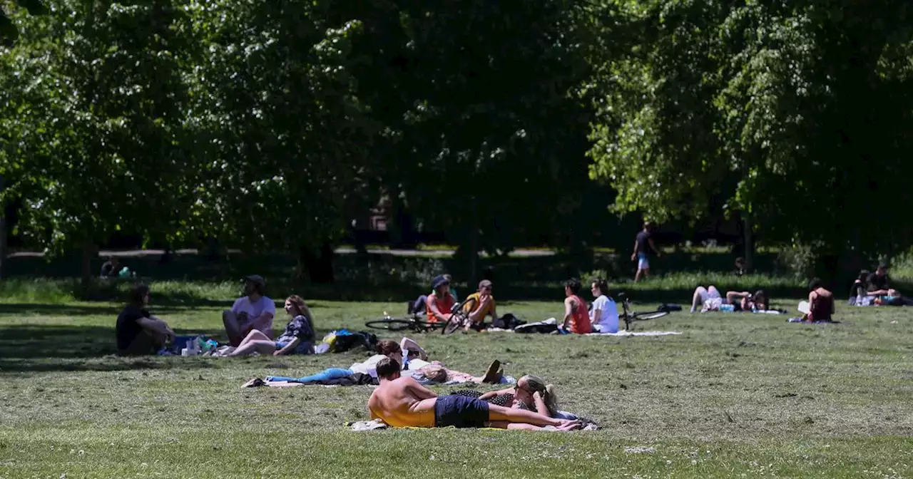 The best picnic spots in Greater Manchester to visit when it's sunny