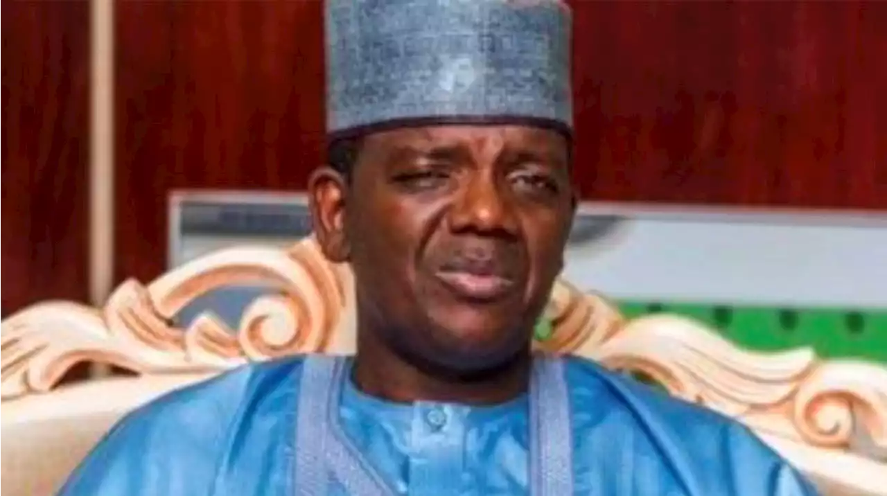 Zamfara govt confirms recovery of 40 vehicles from ex-gov Matawalle - Punch Newspapers