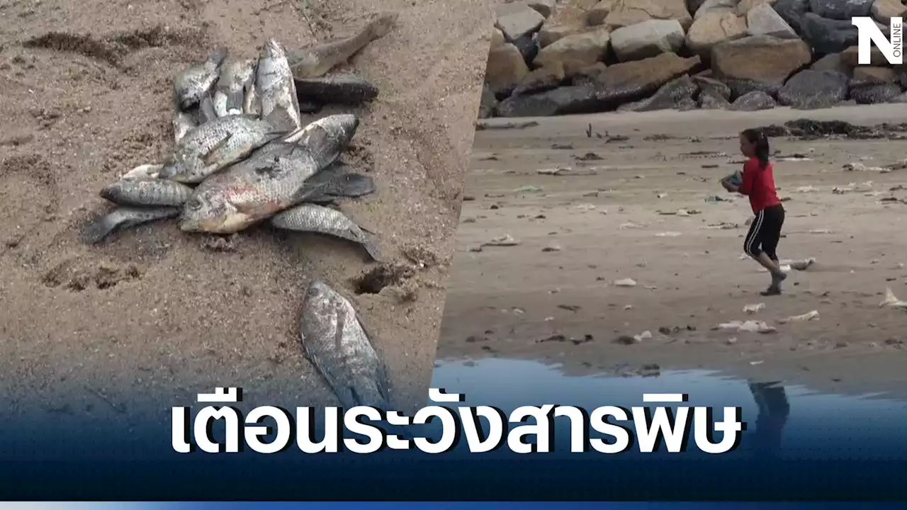 ผวาสารพิษ ปลาตายผิดธรรมชาติ เกลื่อนคลองระยอง เตือนนำไปทำอาหารต้องระวัง