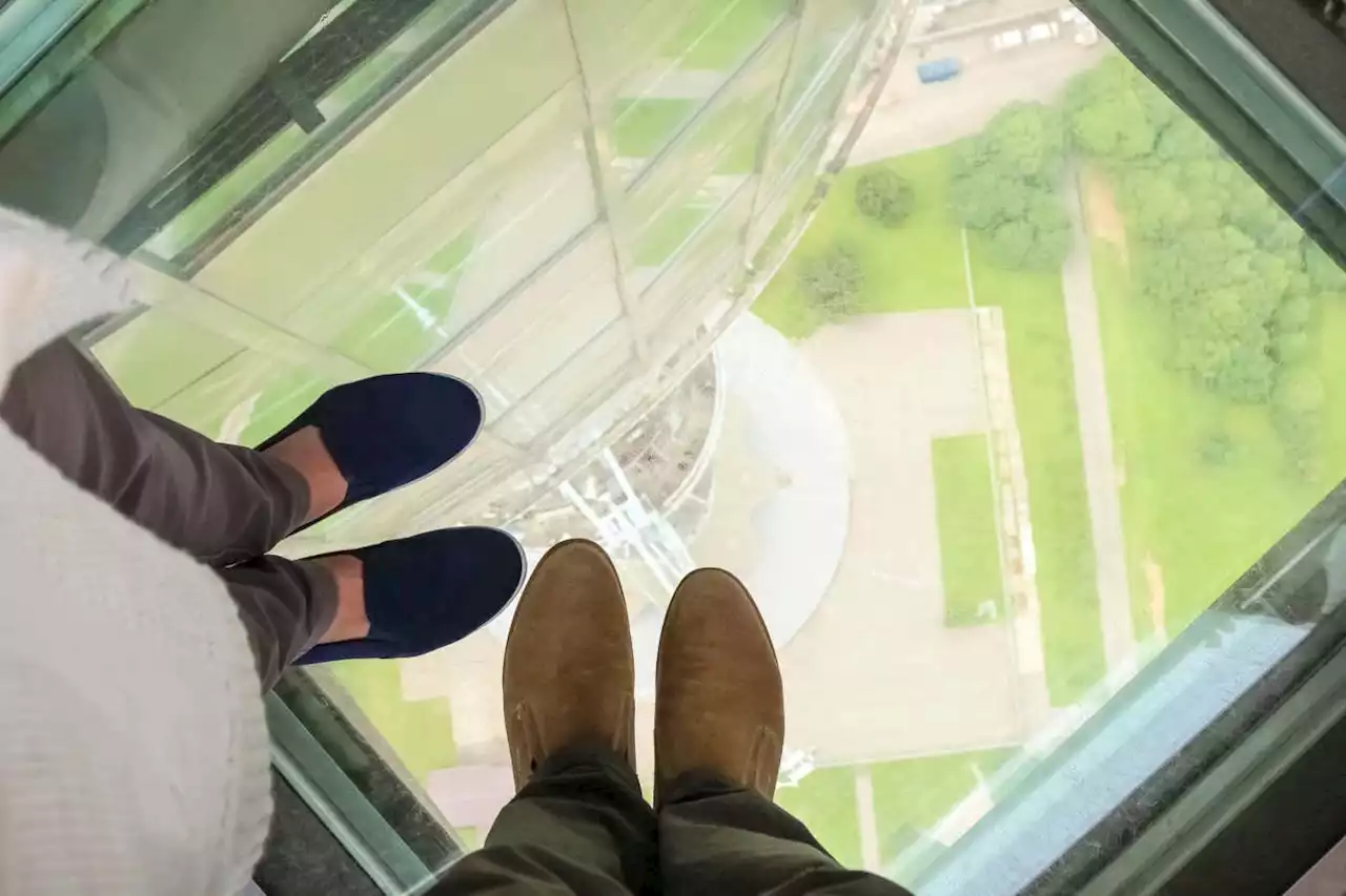 We know now what happens in our brain to make us scared of heights