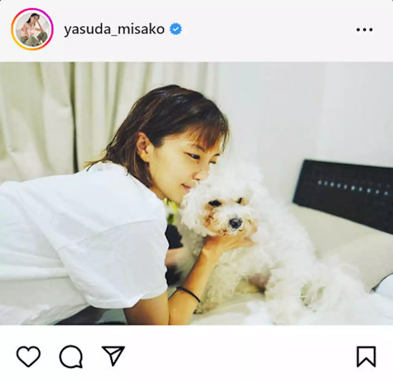 安田美沙子、16年間寄り添った愛犬「はんな」の死を報告「受け入れるにはまだ時間が…」 - 芸能 : 日刊スポーツ