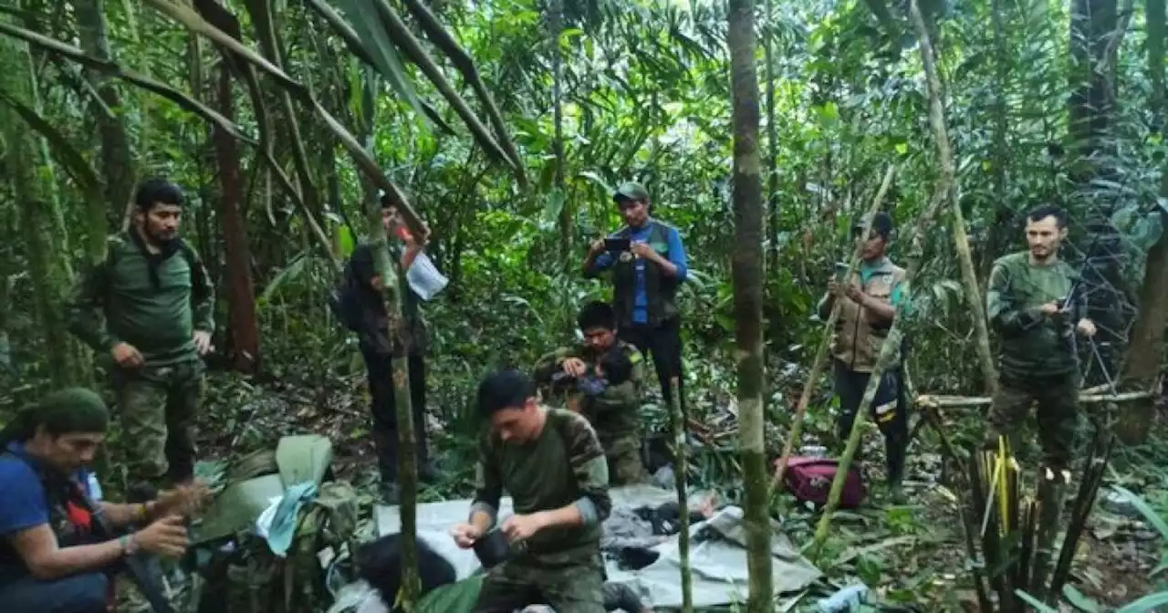 Con esta foto, Petro confirmó hallazgo de niños perdidos en selva de Guaviare