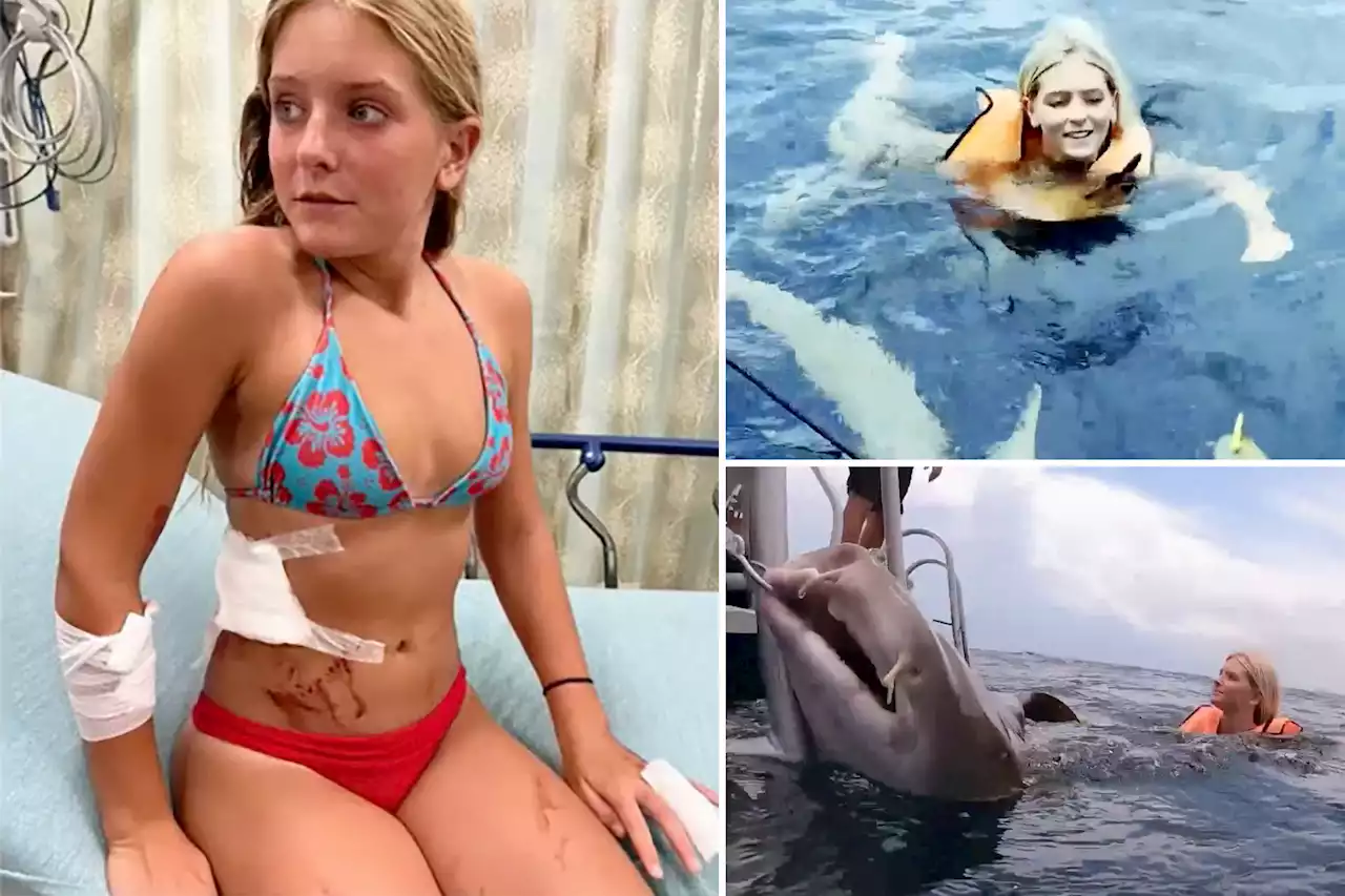 13-year-old shark attack survivor Ella Reed helps researchers tag predators