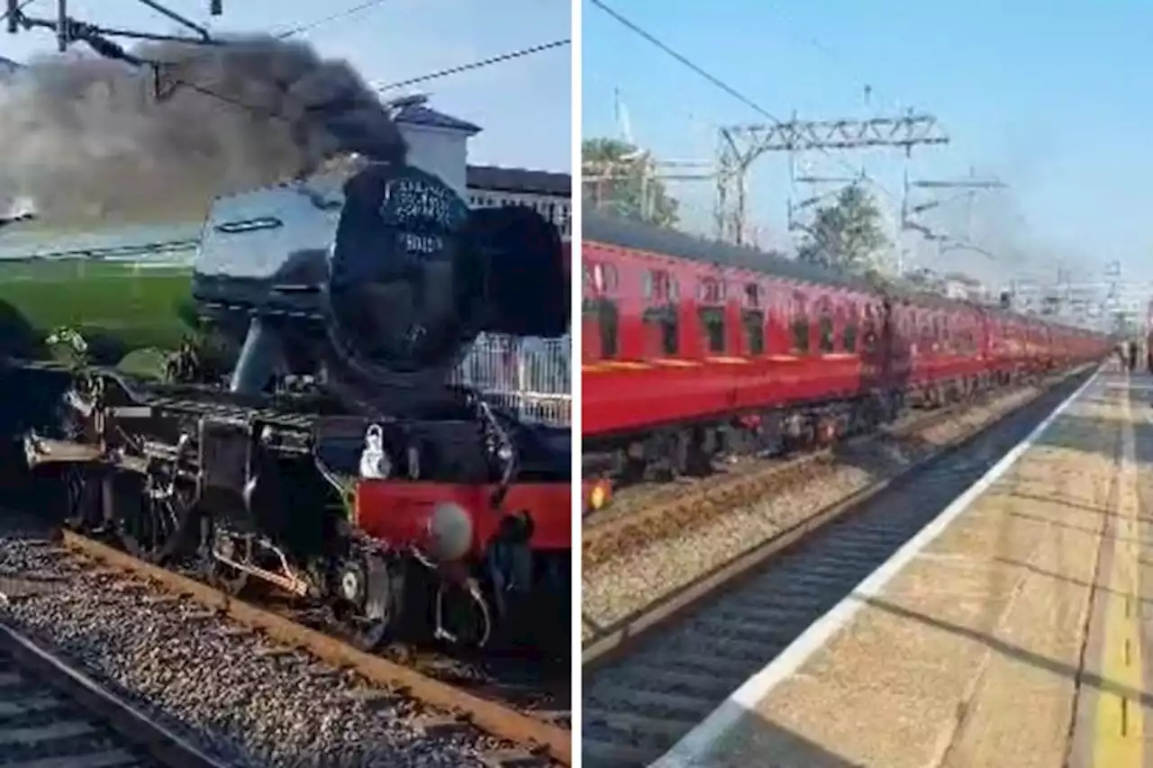 Kings Langley couple capture Flying Scotsman in action