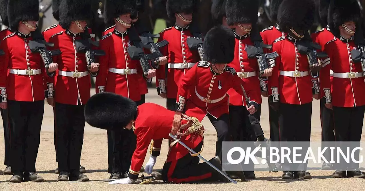 Drama as 'four Royal guards faint' during rehearsal for Trooping the Colour