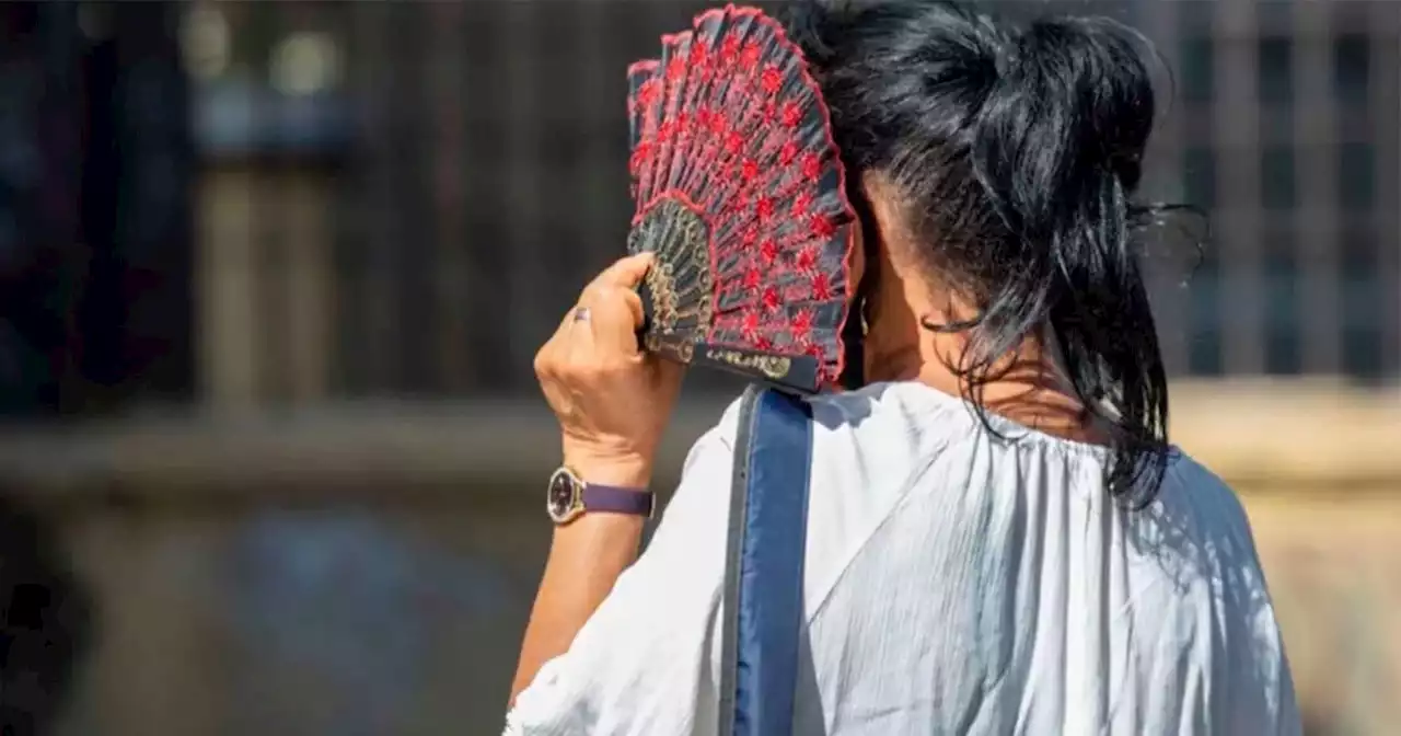 Altas temperaturas no terminan: tercera onda de calor impacta a México y Guanajuato