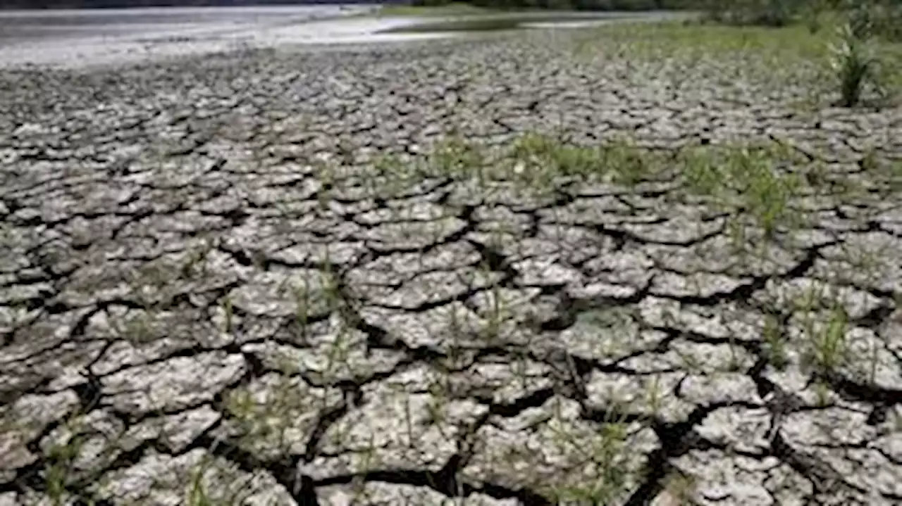 Efeito econômico negativo do El Niño poderá durar uma década