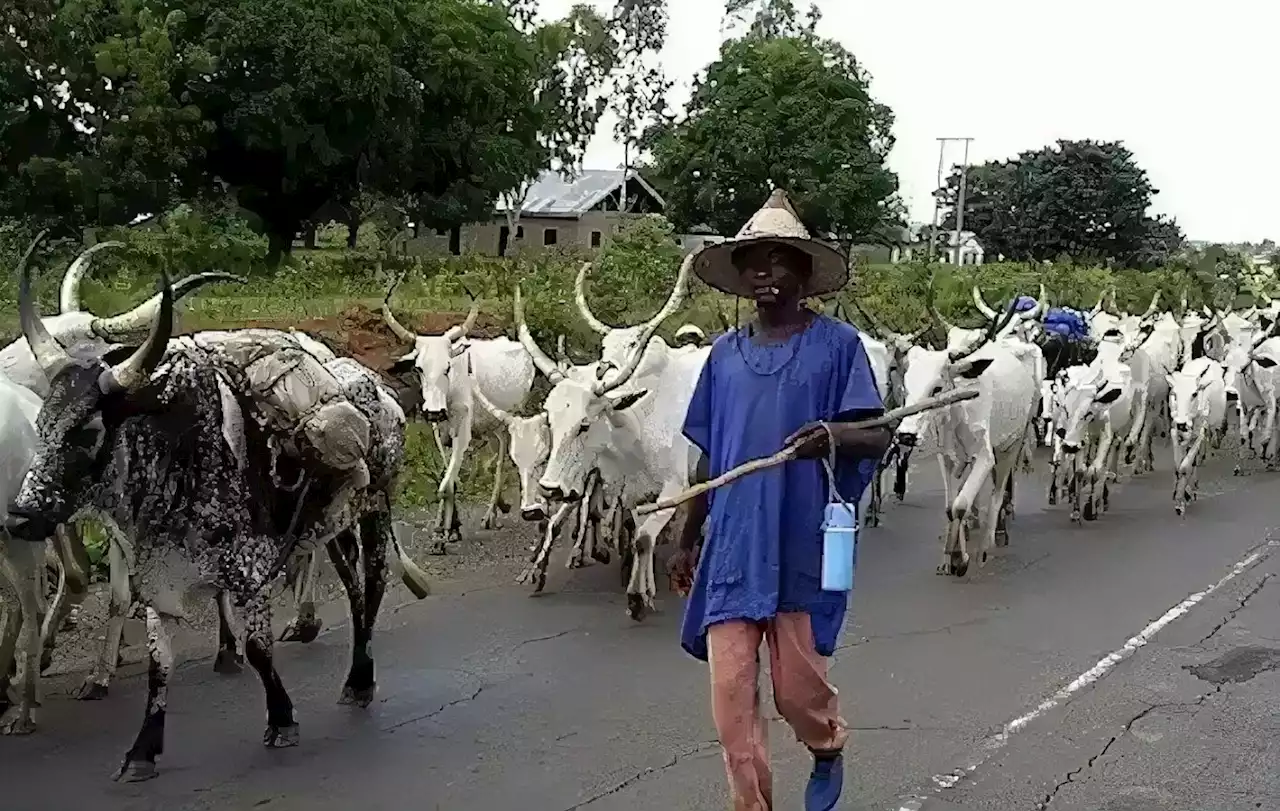 Jigawa, Niger community agree on peaceful cross-border movement of pastoralists