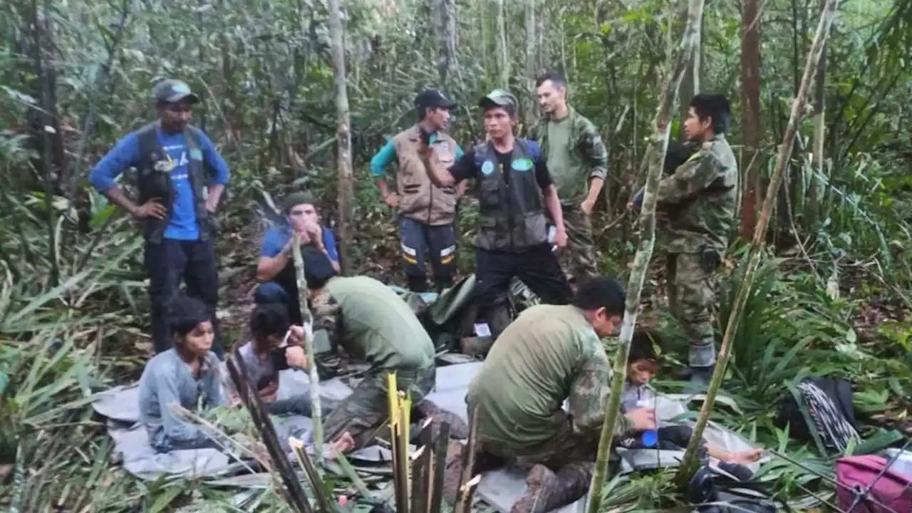 Hallan con vida a cuatro niños que pasaron 40 días perdidos en la selva (Video)