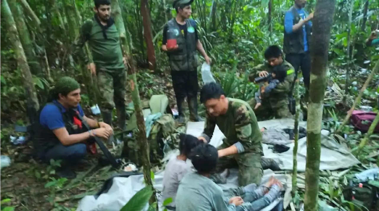 Revelaron el fortísimo plan de búsqueda que dio con niños perdidos en selva de Guaviare - Pulzo