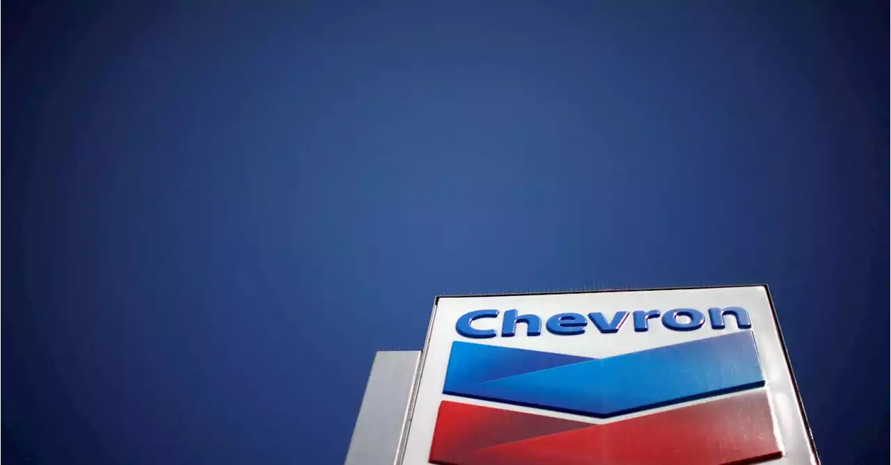 Argentina says Chevron to invest $500 mln in Vaca Muerta shale area