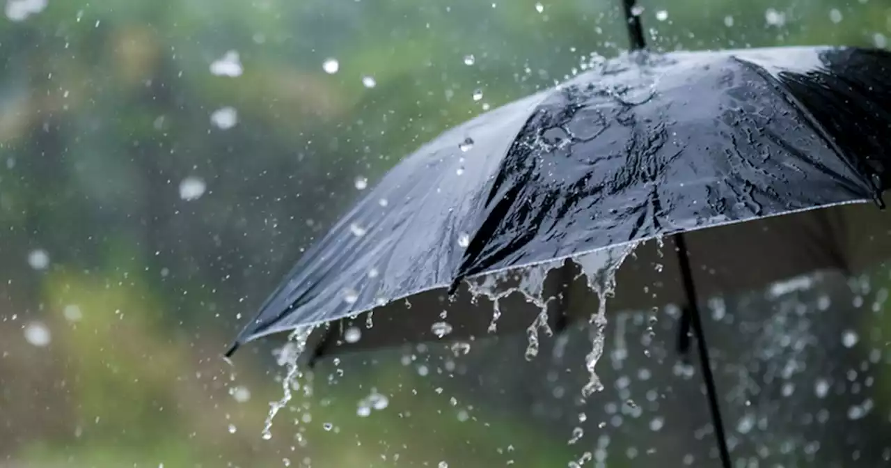 Met Eireann: Rain and thunderstorms approaching as heatwave comes to an end