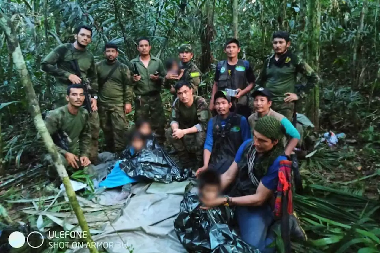 Colombie : les 4 enfants disparus dans la jungle retrouvés vivants après 40 jours