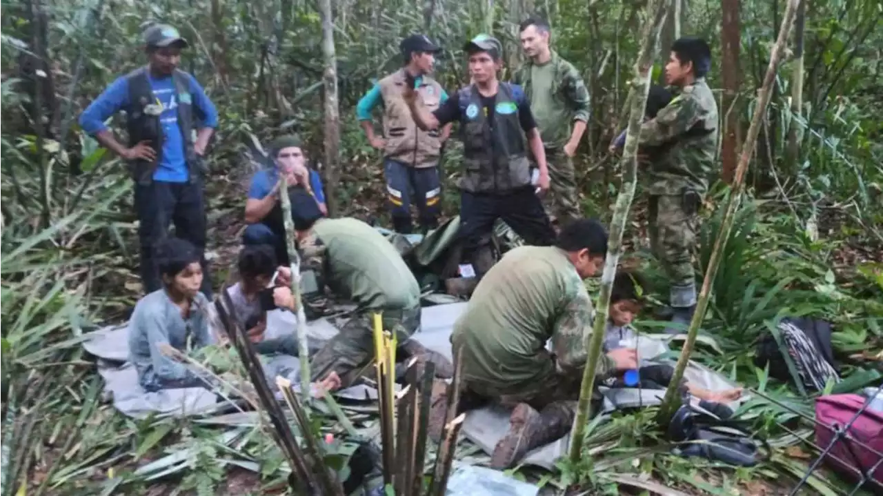 Hallan con vida a los cuatro niños perdidos hace 40 días tras un accidente aéreo en Colombia