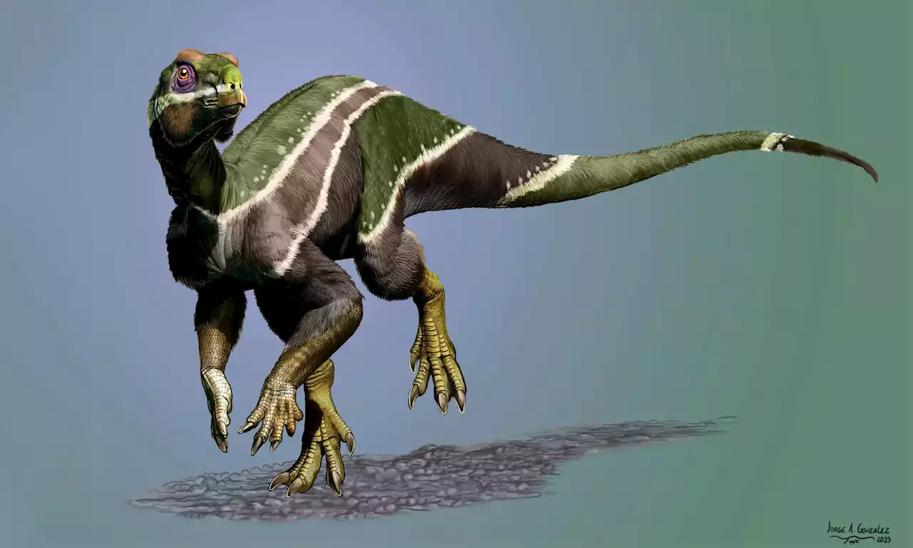 Newly Discovered Dinosaur Iani May Have Been Species’ “Last Gasp” in a Changing Planet