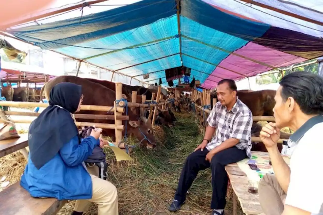 Ajak Mahasiswa IPB, Pemkab Bogor Cek Kesehatan Hewan Kurban di Peternakan dan Pedagang