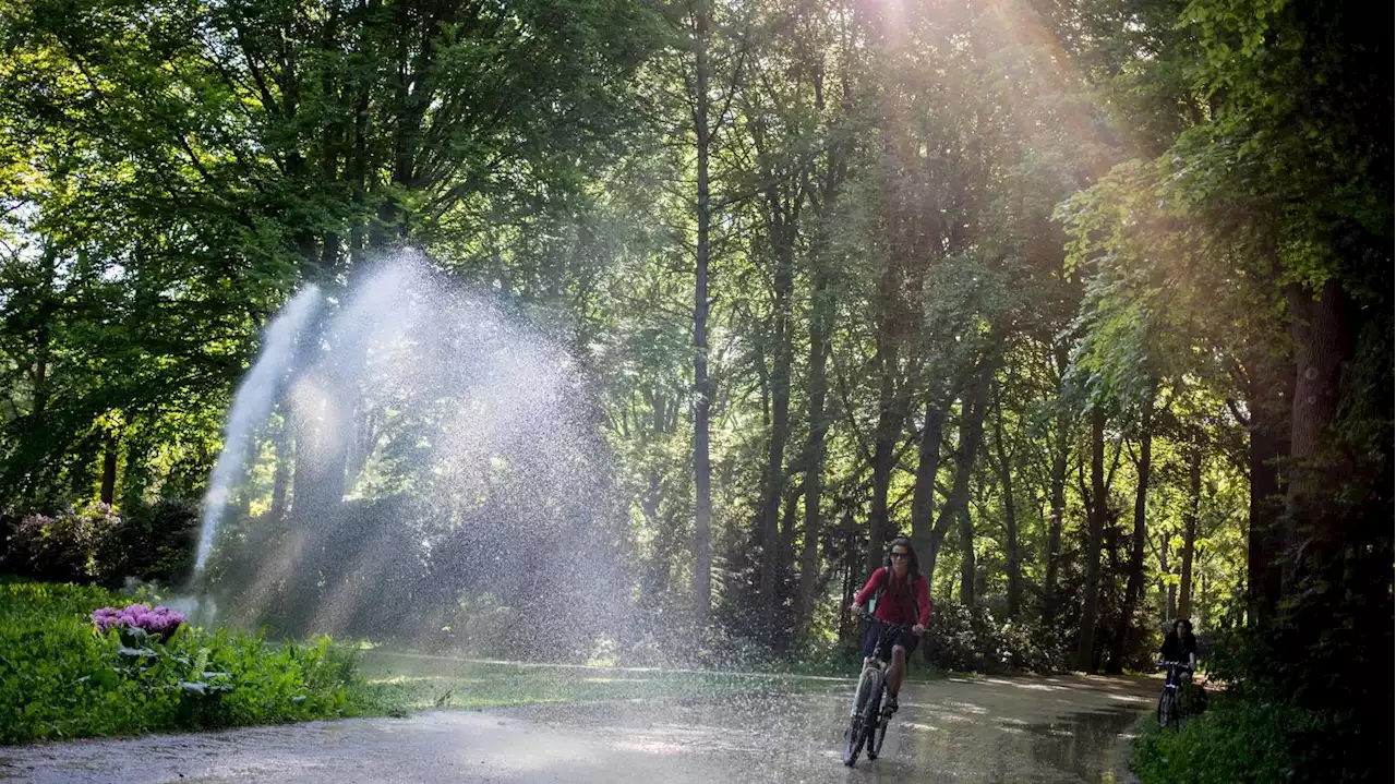 Pläne gegen Wasserknapphheit in Berlin: Grüne und Linke fordern höhere Wasserpreise für Großverbraucher