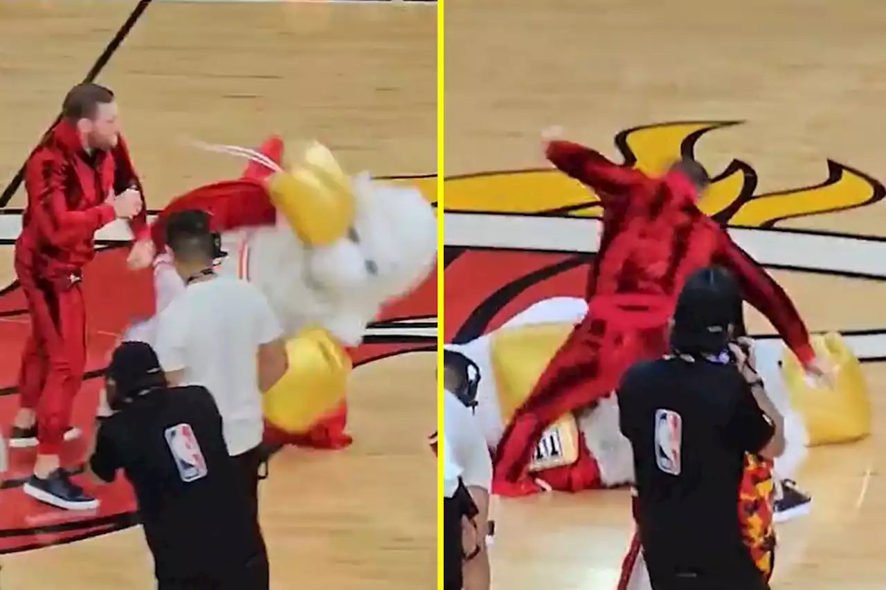 Conor McGregor KOs Miami Heat mascot at NBA finals after being heckled