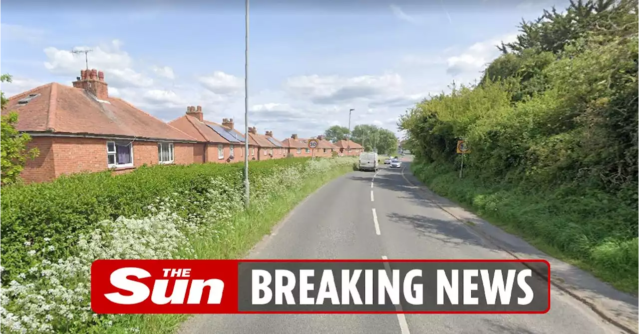 Double murder probe after woman, 30, and man, 33, found dead and man arrested