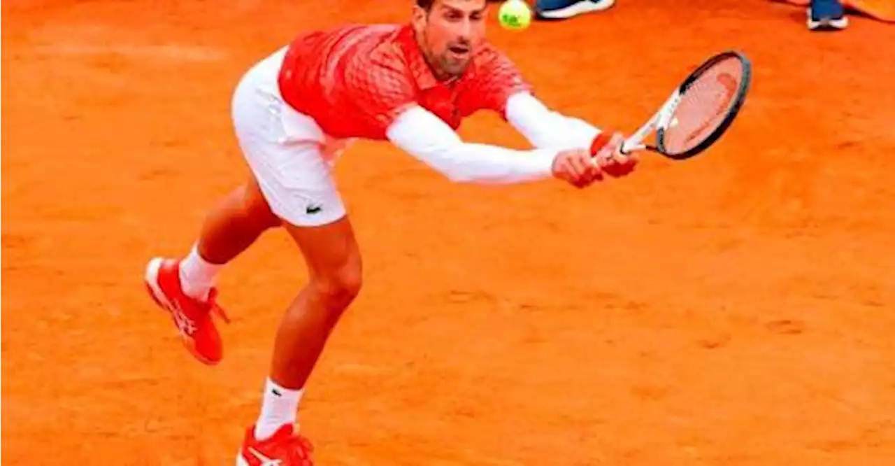 Djokovic beats cramping Alcaraz to set French Open Final showdown against Ruud