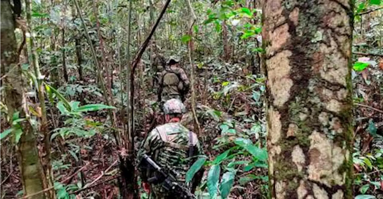 Four indigenous children missing for 40 days in Amazon jungle found alive in Colombia