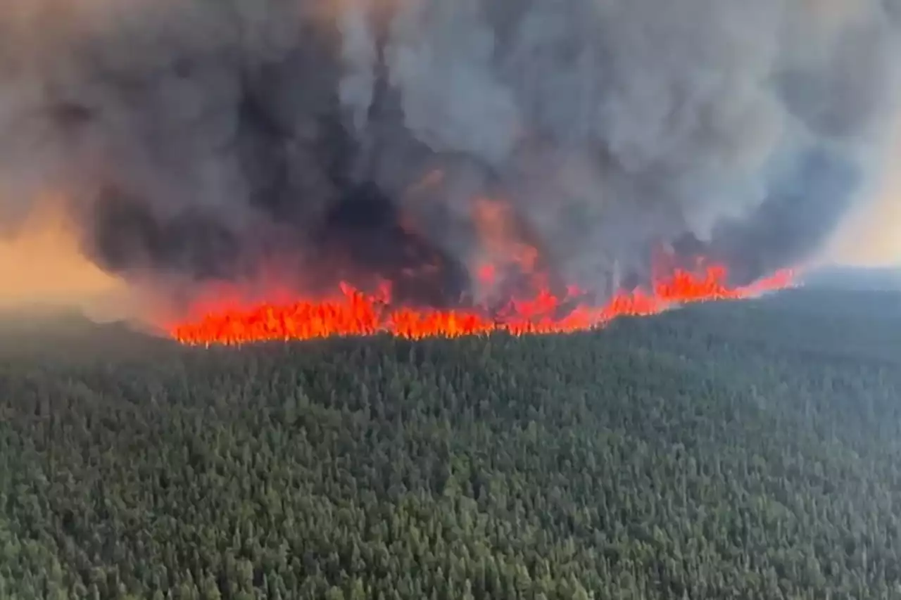 B.C. fire officials hope wind shift will help save Tumbler Ridge from intense blaze