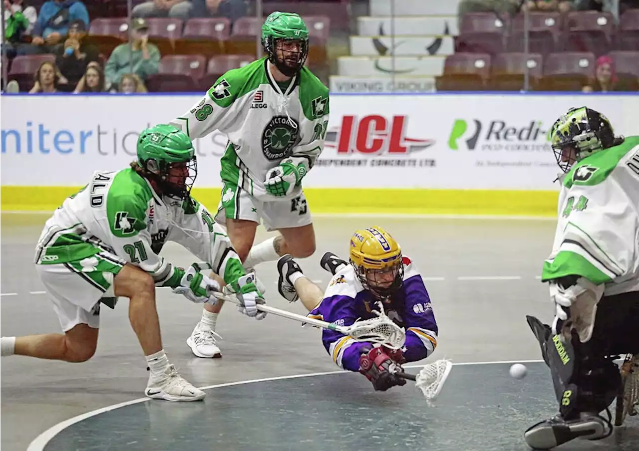 Balanced Shamrocks outrun Adanacs for WLA victory