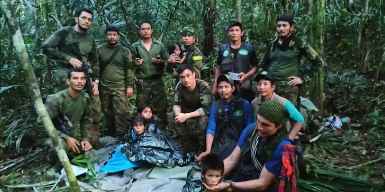 Débiles y deshidratados: así encontraron a los cuatro nenes colombianos que se perdieron en la selva