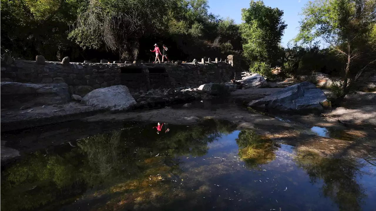 'Really impressive' flows as rainy year nourished Tucson streams