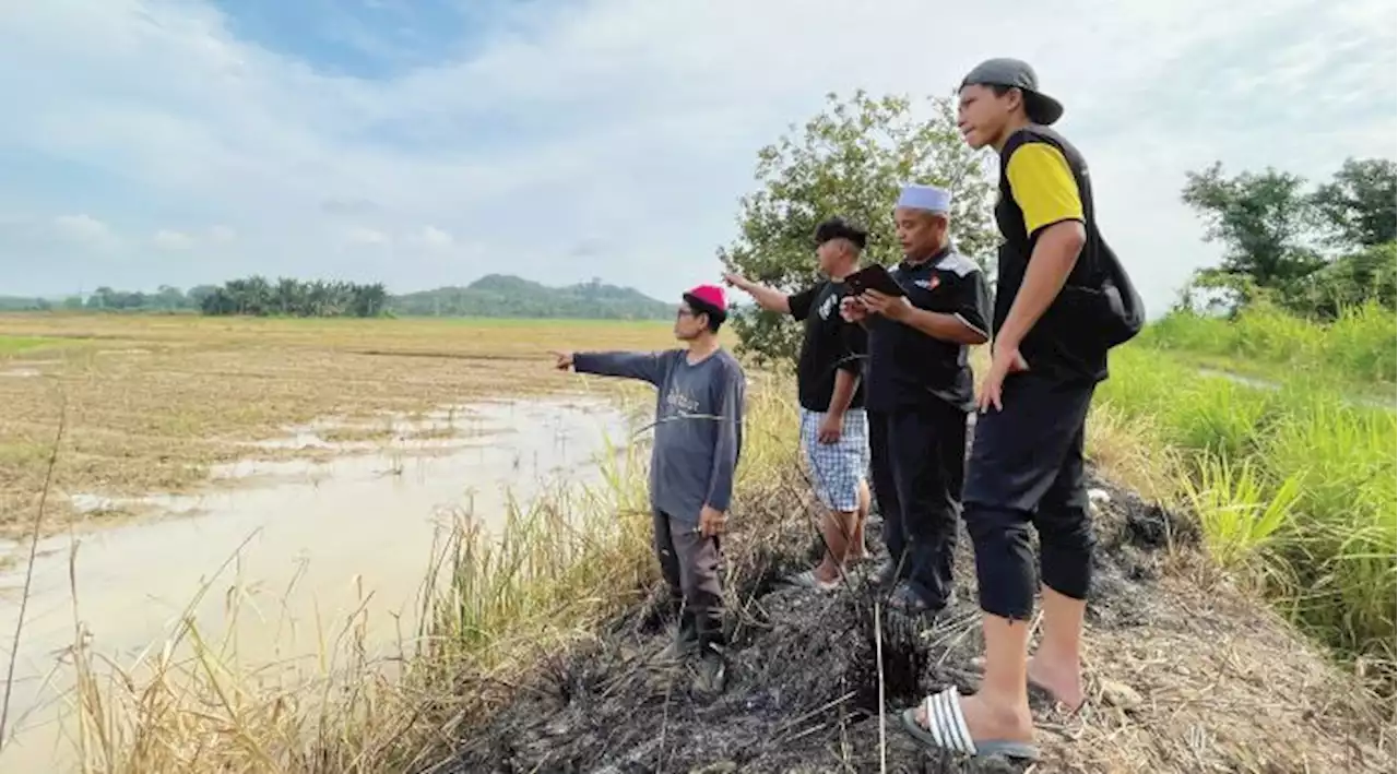 Pesawah kecewa sumber air tak cukup untuk tanam padi