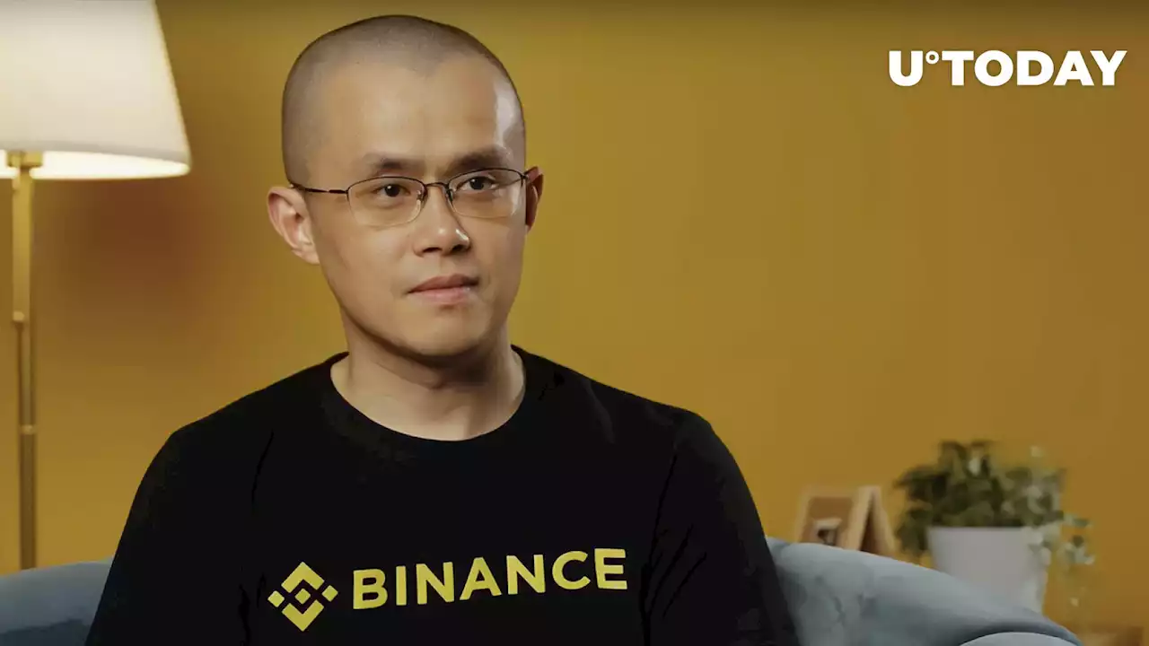 Binance CEO on Reasons for Altcoin Annihilation: 'No One Really Knows'