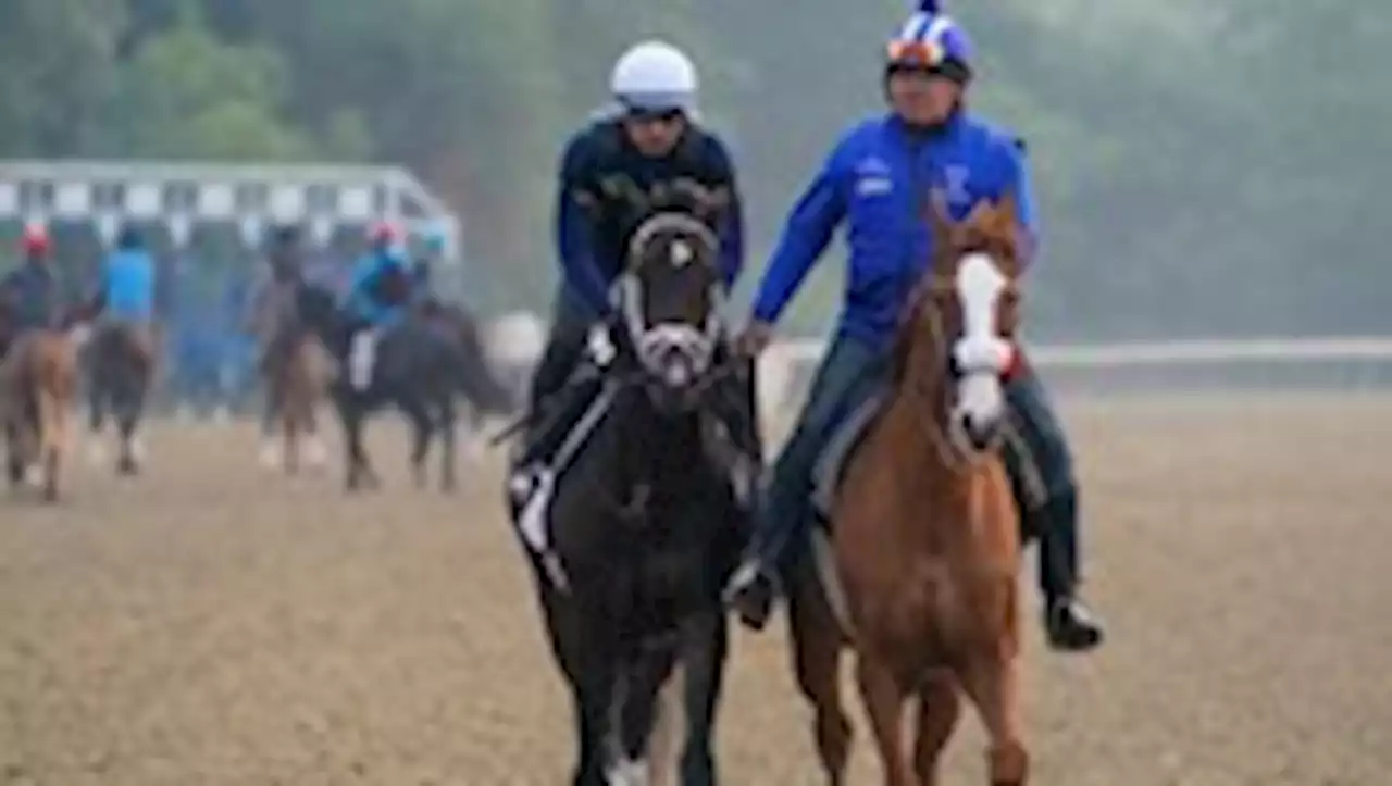 Analysis | Odds, post positions and analysis for the Belmont Stakes