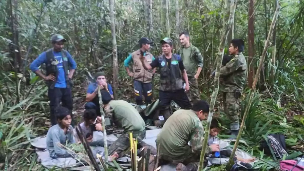 wunder im amazonas: kinder nach flugzeugabsturz gerettet