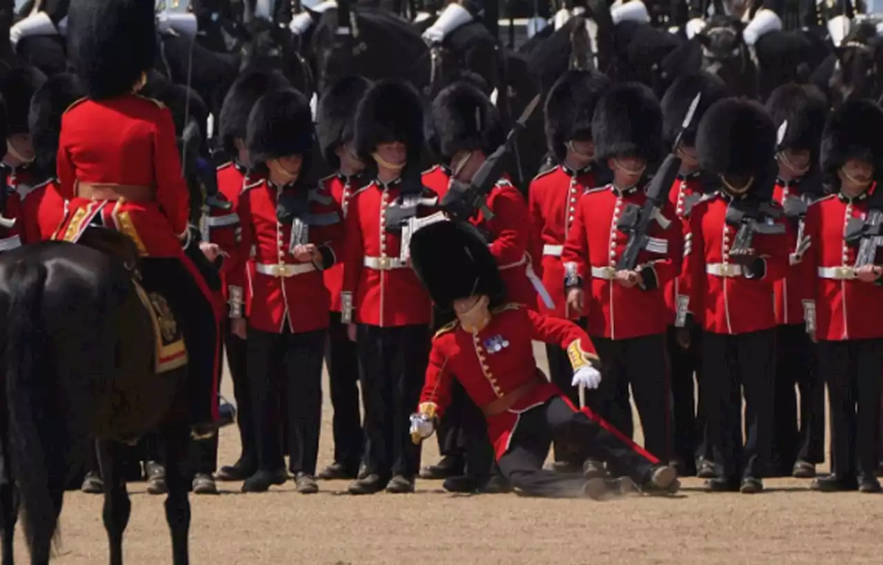 Ecrasés par plus de 30°C, des gardes royaux britanniques s'évanouissent