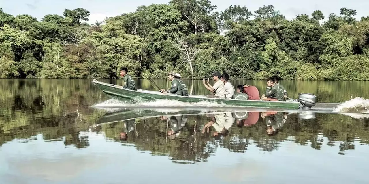 En Amazonie, la lutte des 'guerriers de la forêt' pour la Vallée du Javari