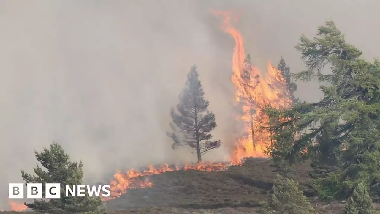 Daviot wildfire burns through the night as crews battle on