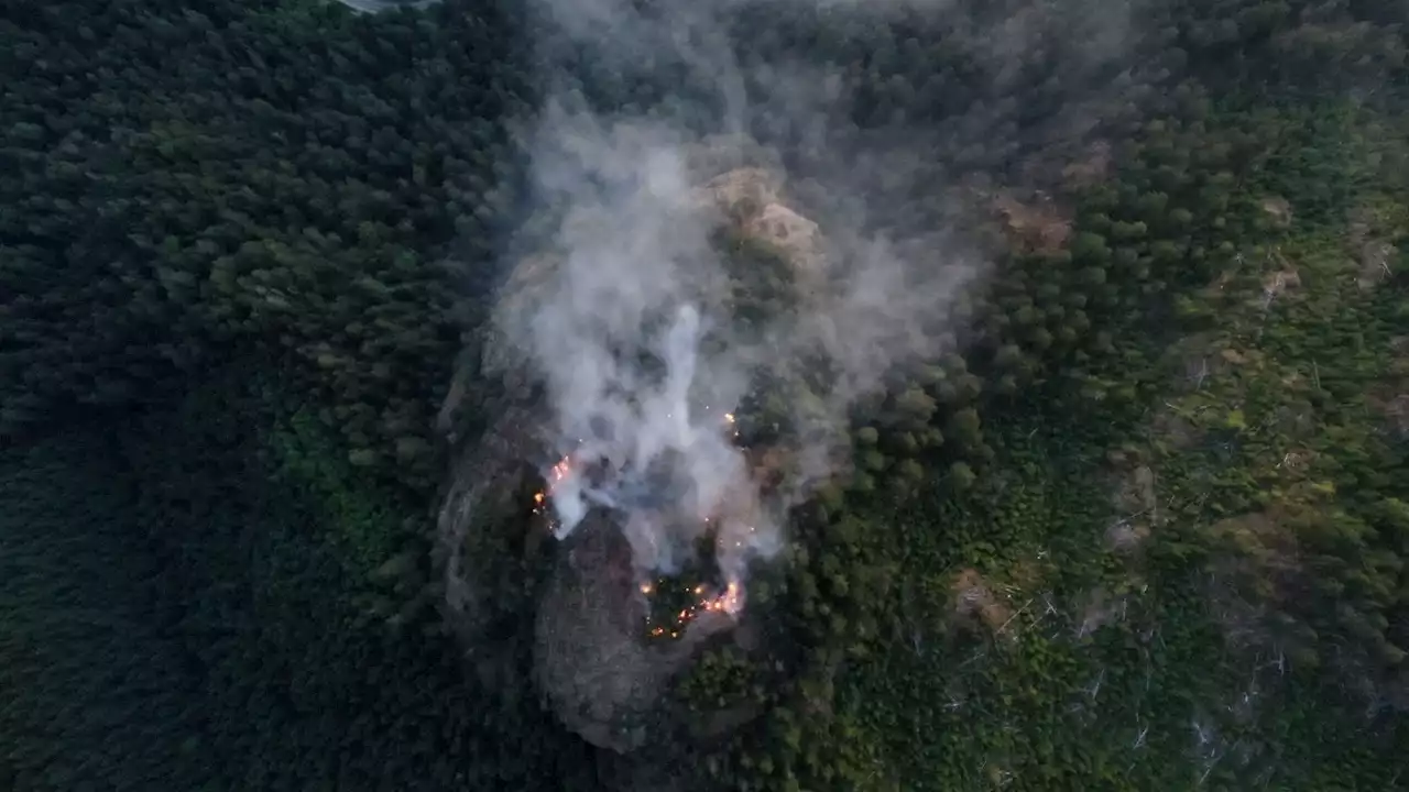 Despite rain Cameron Bluffs Wildfire holding at 208 hectares