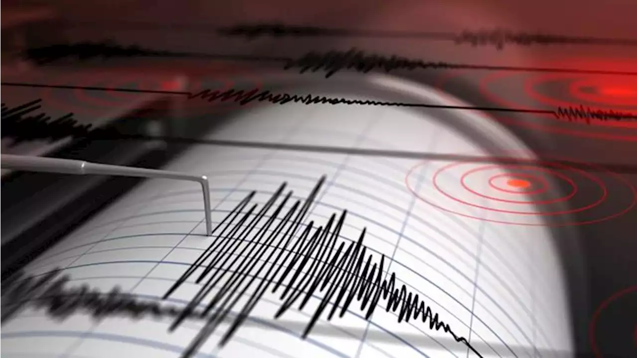 Gempa M 5,2 Guncang Waropen Papua, Tidak Berpotensi Tsunami