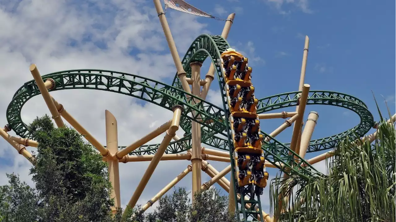 Man arrested after breaking into Florida theme park, hopping into alligator enclosure and filming video for social media, authorities say