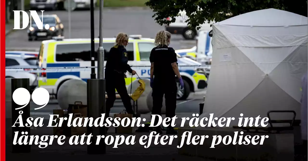 Åsa Erlandsson: Det räcker inte längre att ropa efter fler poliser