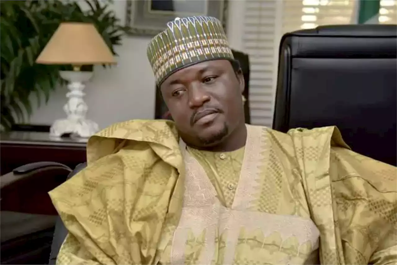 Nigeria Air: EFCC must arrest, probe Hadi Sirika - Arewa youths