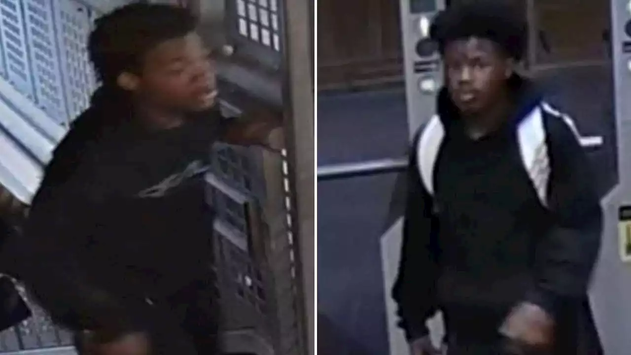 Chicago police seek suspects in CTA Brown Line robbery in the Loop