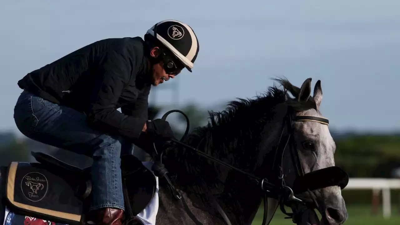 Belmont Stakes: Arcangelo crosses finish line first,making Jena Antonucci first female trainer to win race