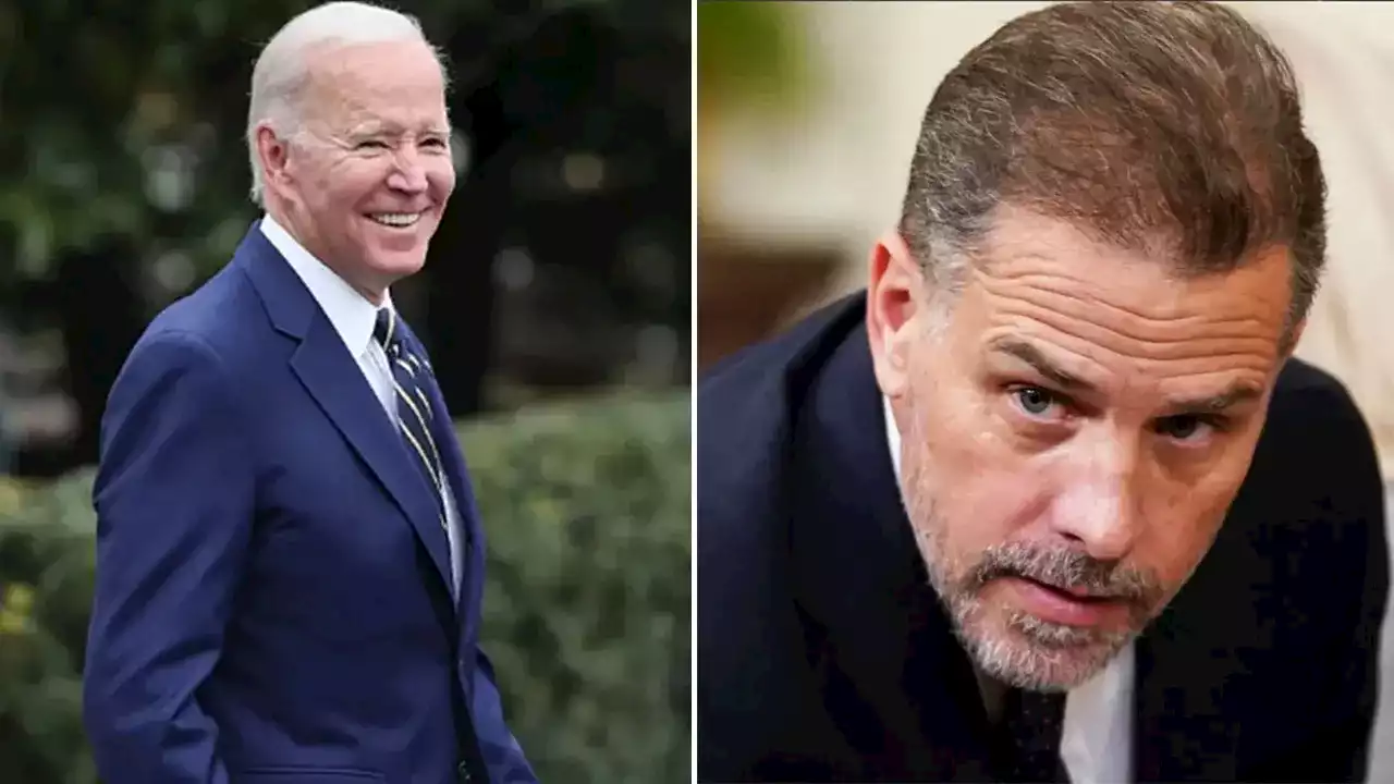 'Complicit, compliant, corrupt': Sen. Ron Johnson blasts liberal media for ignoring shady Biden family deals