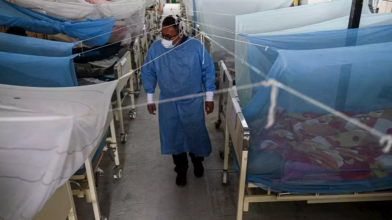 Dengue outbreak in Peru reaches 200K cases, 200 dead, heightened by El Niño rains